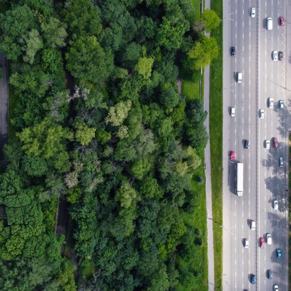 Transporte por carretera: ventajas, desventajas y consejos útiles 1